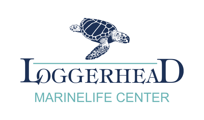 Loggerhead Marinelife Center