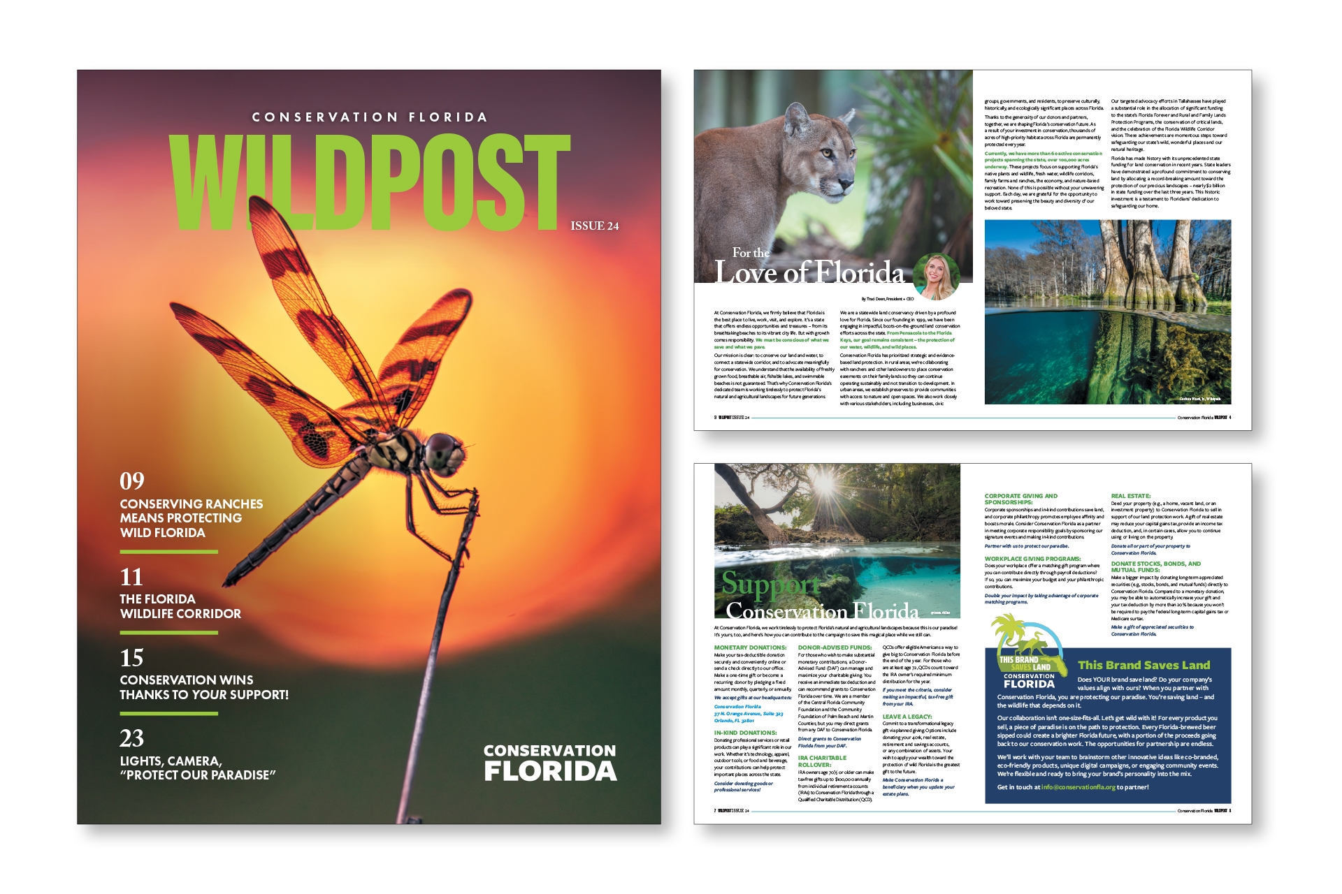 Conservation Florida WILDPOST Newsletter