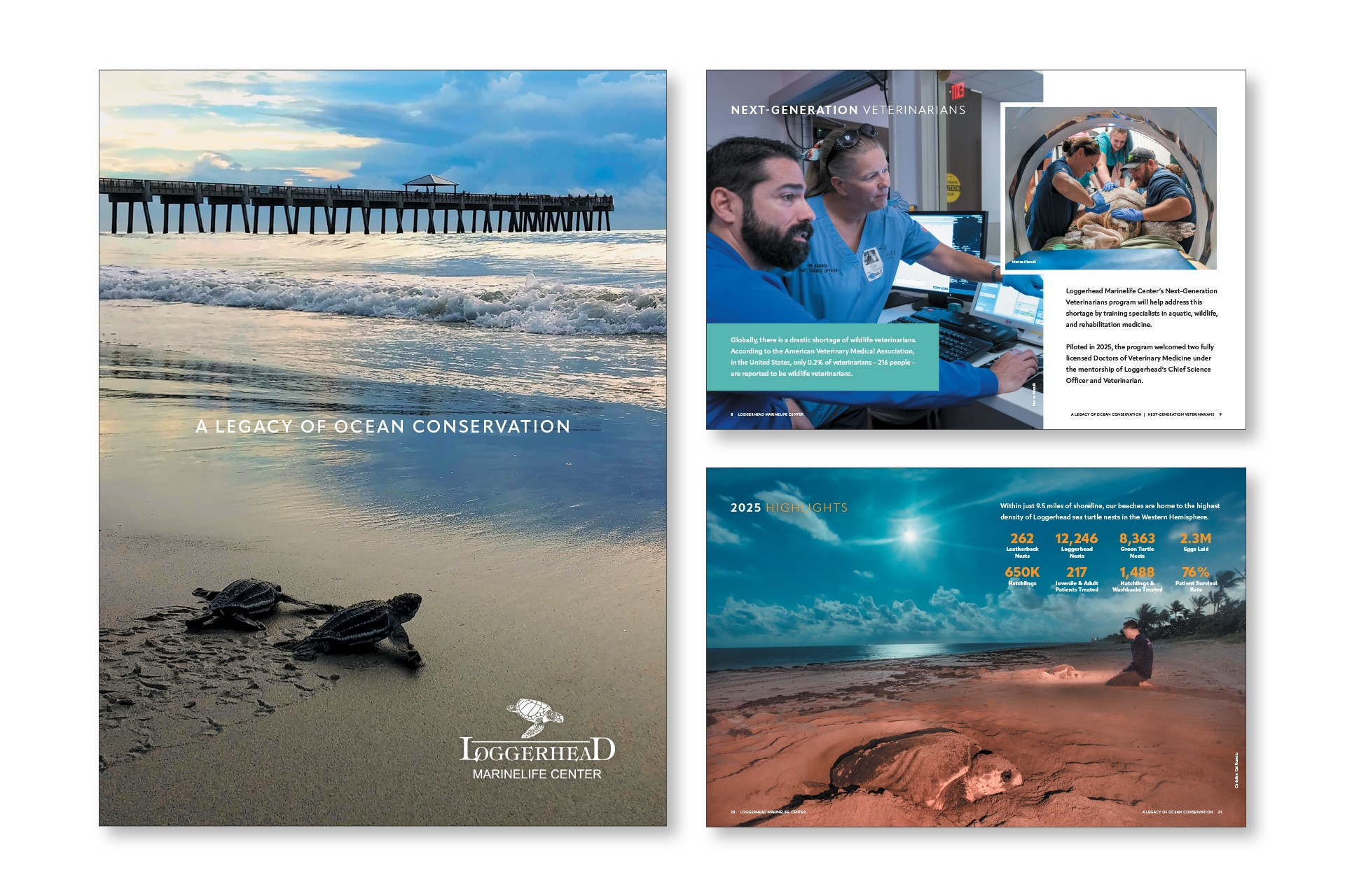 Loggerhead Marinelife Center Brochure