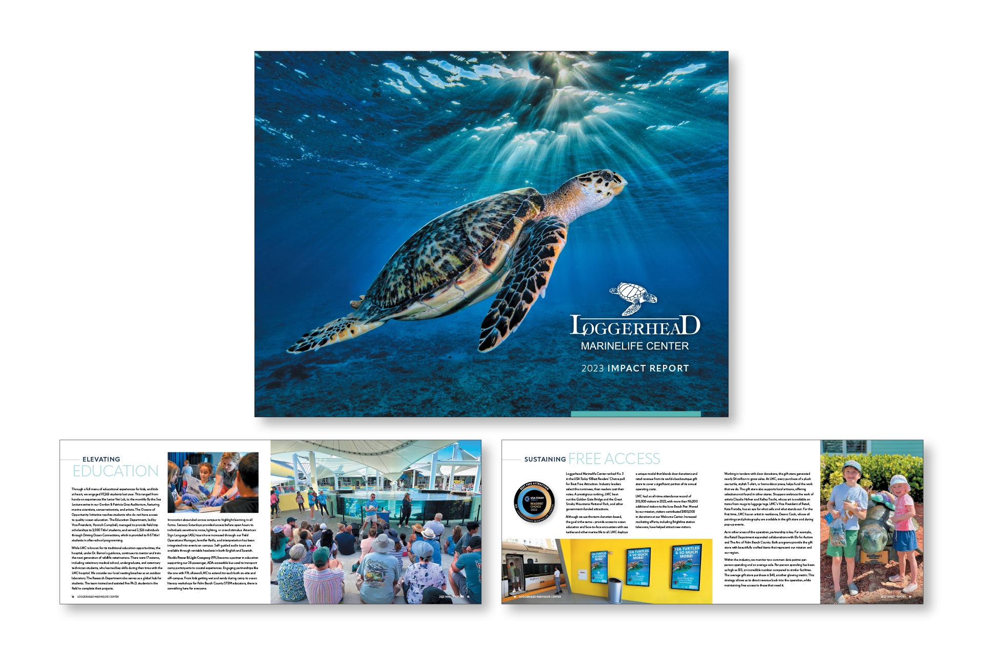 Loggerhead Marinelife Center – Impact Report
