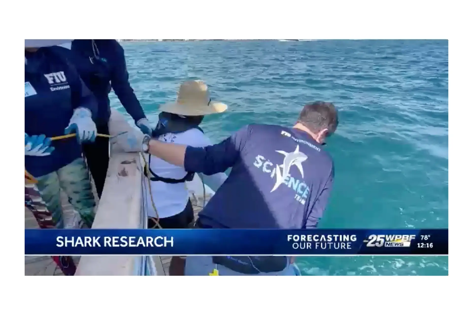 WPBF 25 News –ANGARI Shark Expedition